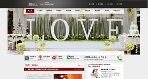 北京网站建设与推广 案例展示与整合营销实践